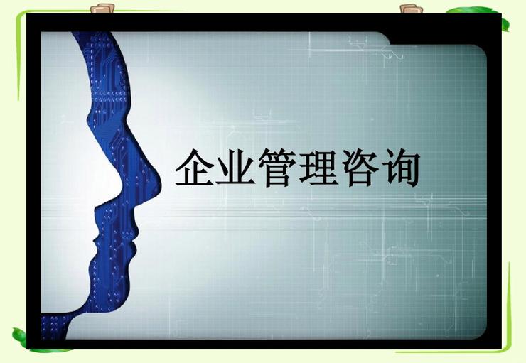 企业管理咨询:从成本控制到全球竞争
