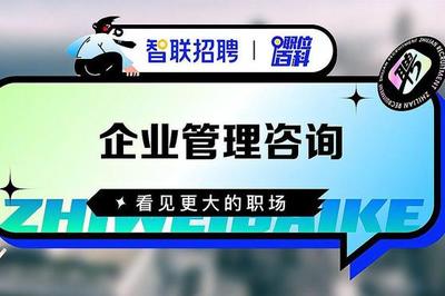 企业管理咨询